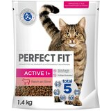 PerfectFIT Active 1+ bogata z govedino - Varčno pakiranje: 5 x 1,4 kg Cene