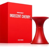 BORNTOSTANDOUT Indecent Cherry parfumska voda uniseks 15 ml | Shoptok.si