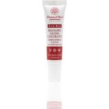 Domus Olea Toscana colored Gloss Lip Balm Cijene
