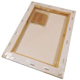  PLATNO SLIKARSKO NAPETO 50X70 CM PRIMO 464TE50X70 | Shoptok.si