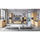 Modern Living Tv-element Nina, Barva Hrasta, Antracit | Shoptok.si