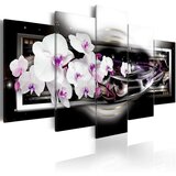  Slika - Orchids on a black background 200x100 Cijene