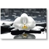  Slike na platnu feng shui (moderne slike na platnu) | ePonuda.com