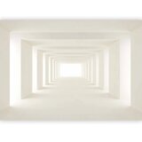  Foto tapeta - Into the Light 100x70 | shoptok.hr