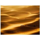  Tapeta - Caravan of camels 350x270 | shoptok.hr