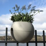 rephorm Lonec za ograjo "Bloomball" - Eko (videz betona) Cene