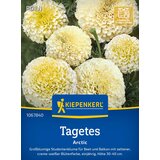 KIEPENKERL Žametnica "Arctic" - 1 pkt. Cene