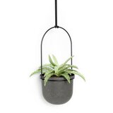Umbra SET STENSKIH POSOD ZA ROŽE | Shoptok.si