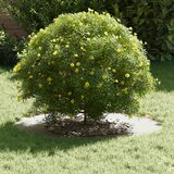  Pogodno za ravni drveni prsten Bijelo Ø40 / 70 cm Čelik | shoptok.hr