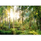  Foto tapeta - Untamed Nature 300x210 Standard | shoptok.hr