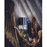 N.C.P. Olfactives 601 Amber & Gaiacwood parfemska voda uniseks 50 ml | shoptok.hr
