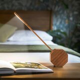 Gingko Temno rjava LED namizna svetilka v dekorju češnje (višina 39,5 cm) Octagon One – | Shoptok.si