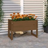  Sadilica boja meda 78 x 40 x 52 cm od masivne borovine Cijene