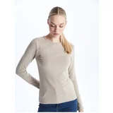 LC Waikiki Crew Neck Plain Long Sleeve Women's T-Shirt