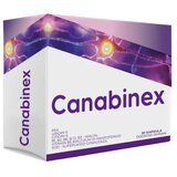NATURA LAB Kapsule za neuropatski i hronični bol Canabinex, 30 kapsula | Eponuda.com
