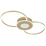 Stropna Led-svetilka Alexander
