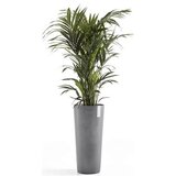 Ecopots Amsterdam High - siva | Shoptok.si