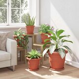  Krožni cvetlični pladenj 6 pcs Kamnito rdeča Ø 19 x 2 cm, (5000207441) | Shoptok.si