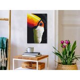  Slika za samostalno slikanje - Toucan 40x60 | shoptok.hr