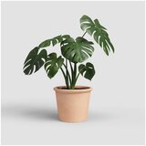 Artevasi Cvetlični lonec iz terakote ø 39 cm Saramago Cilindro – | Shoptok.si