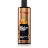 Farmona Jantar Amber Essence revitalizirajući šampon za plavu i sijedu kosu 300 ml | shoptok.hr