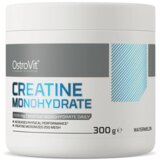 OSTROVIT kreatin monohidrat 300 g – čista snaga i izdržljivost - pomorandža | Eponuda.com