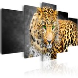  Slika - Green-eyed leopard 200x100 Cijene