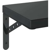 vidaXL Stenske police 2 kosa 50x23,5 cm črna nerjaveče jeklo | Shoptok.si