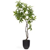 Kave Home Umetna rastlina (višina 180 cm) Pachira – u