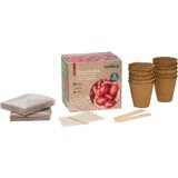  Set za gojenje paradižnika "Red Cherry & Roma" | Shoptok.si