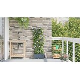  Vrtna saksija Svijetlo siva 40 x 40 x 126 cm Plastika | shoptok.hr