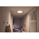 Philips Plafonjera 10 W 1100 lm 4000 K 25 cm CL200 Cijene