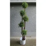 stablo sa 5 lopti 160 cm 82058