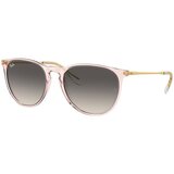 Ray-ban erika naočare za sunce rb 4171 674211 | ePonuda.com