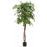 Kave Home Umjetni fikus (visina 180 cm) Ficus –