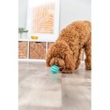Trixie Igrača Dentafun žoga naravna guma mintfresh 5 cm | Shoptok.si
