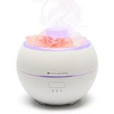 Rio Aroma Diffuser with Himalayan Rock Salt aroma difuzor 1 kos | Shoptok.si