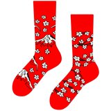 Frogies Nogavice Regular | Shoptok.si