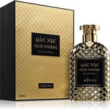 Adyan Oud Ombre parfumska voda uniseks 100 ml | Shoptok.si