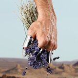 Dolce&gabbana K toaletna voda 150 ml za moške | Shoptok.si