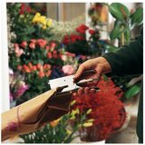 Esselte Rapid spenjač k1, do 50 listov, srebrn 10510601 | Shoptok.si