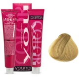 YOUNG Farba za kosu No 11.3, Extra Golden Platinum Blonde, 100ml Cene