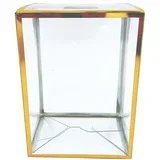 Zaštitna kutija Clear Gold Version 4'' Pop Protector With Film On It With
