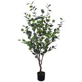  CVIJEĆE EUKALIPTUS 150CM U SAKSIJI 0173042 Cijene