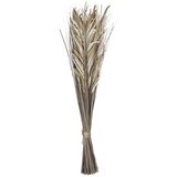 Eglo living suvo cveće, prirodni Hagonoy 428057 | ePonuda.com
