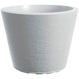  Saksija Di Martino Tirso | ePonuda.com