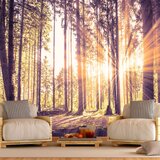  Samoljepljiva foto tapeta - Forest Afternoon 147x105 Cijene