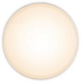 Globo 12015W - LED plafonsko svetlo JENNY LED/8W/230V | Eponuda.com