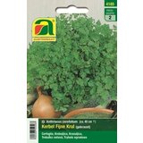 AUSTROSAAT Prava krebuljica "Fijne Krul" Cene
