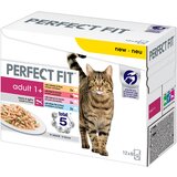 PerfectFIT mešano pakiranje - Varčno pakiranje: 48 x 85 g Cene